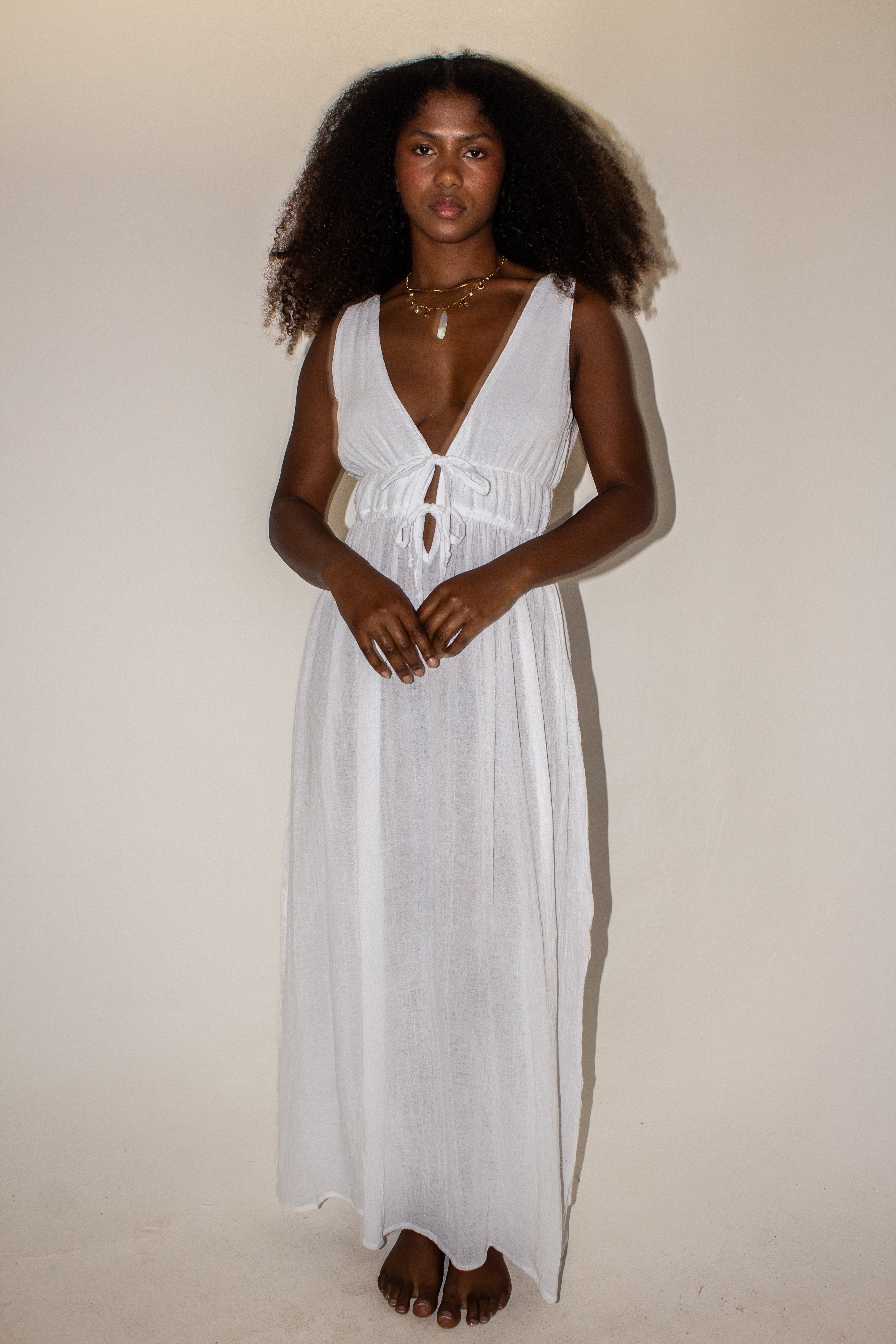 Estela Long Sleeveless Chiffon Dress