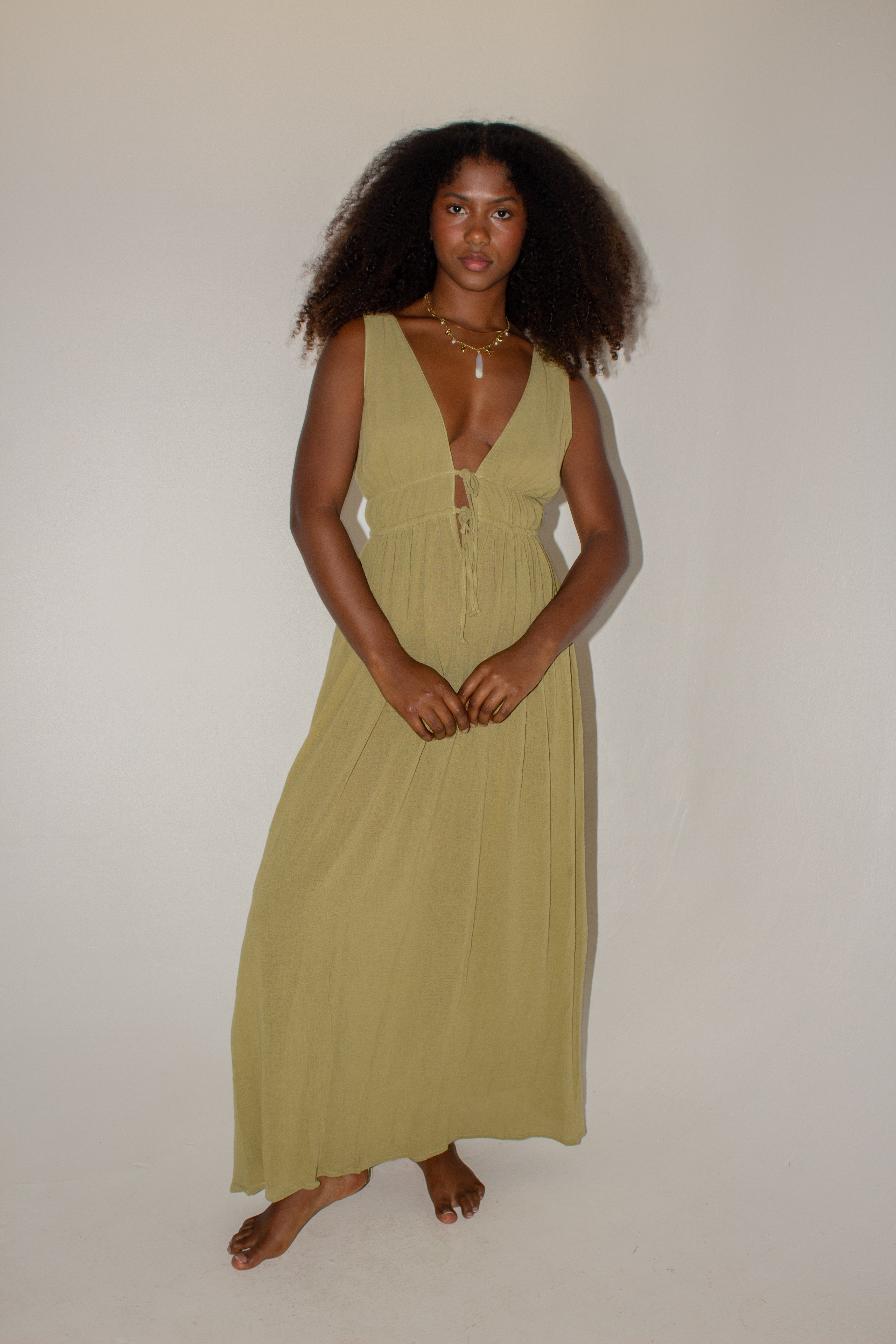 Estela Long Sleeveless Chiffon Dress