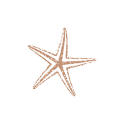 Sandmade Swimwear logo